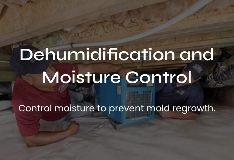 #1 Voted Best Dehumidification and Moisture Control Services in Washington D.C., Maryland, and Virginia (DMV)