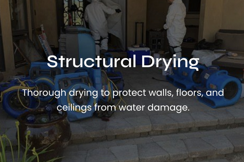 #1 Voted Best Structural Drying Services in Washington D.C., Maryland, and Virginia (DMV)