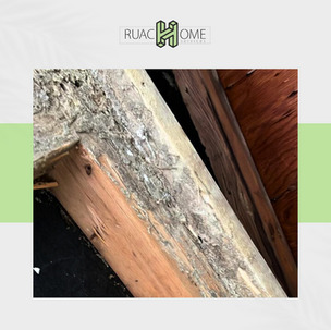 #1 Voted Best Structural Drying Services in Washington D.C., Maryland, and Virginia (DMV)